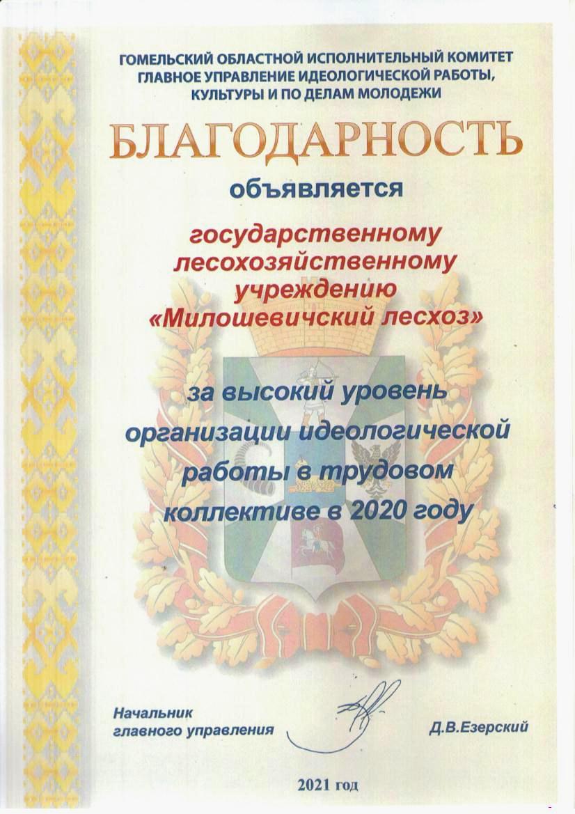 Идеологическая работа Милошевичского лесхоза признана одной из лучших в  Гомельской области - Милошевичский лесхоз