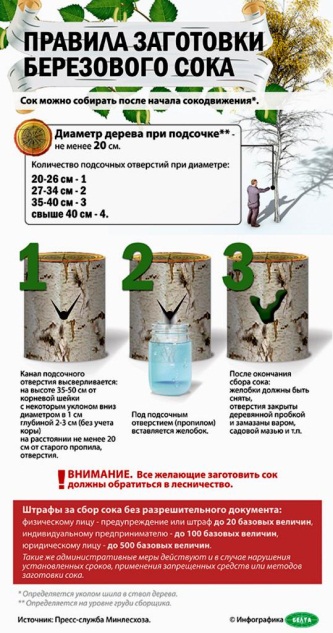 Фото внутри новости