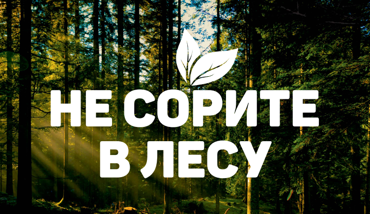 Не сорите в лесу