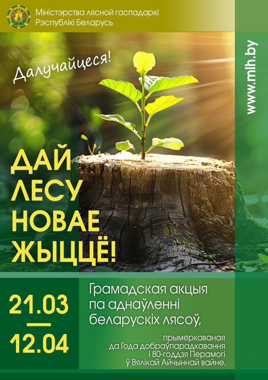 Плакат
