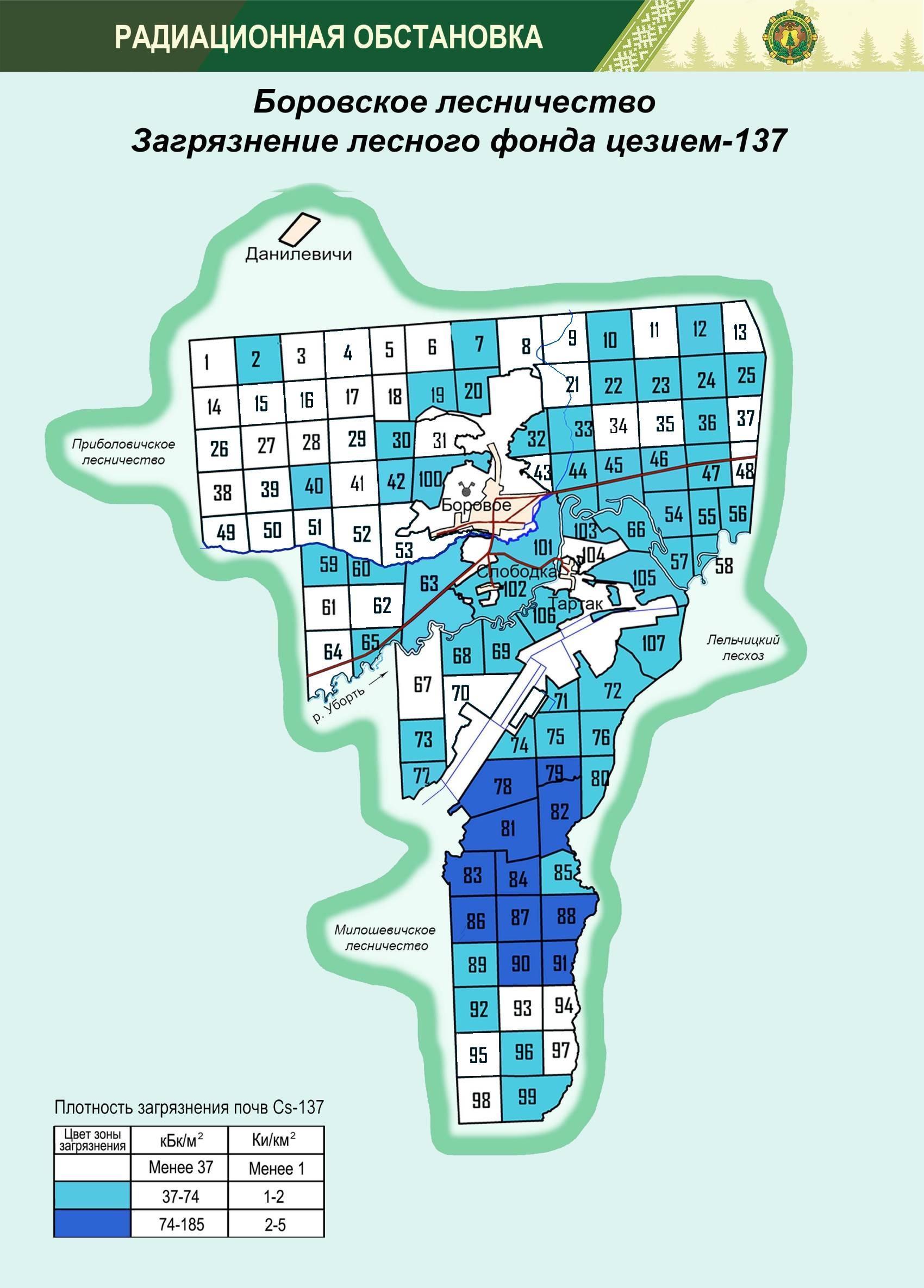 Боровское л во 1225