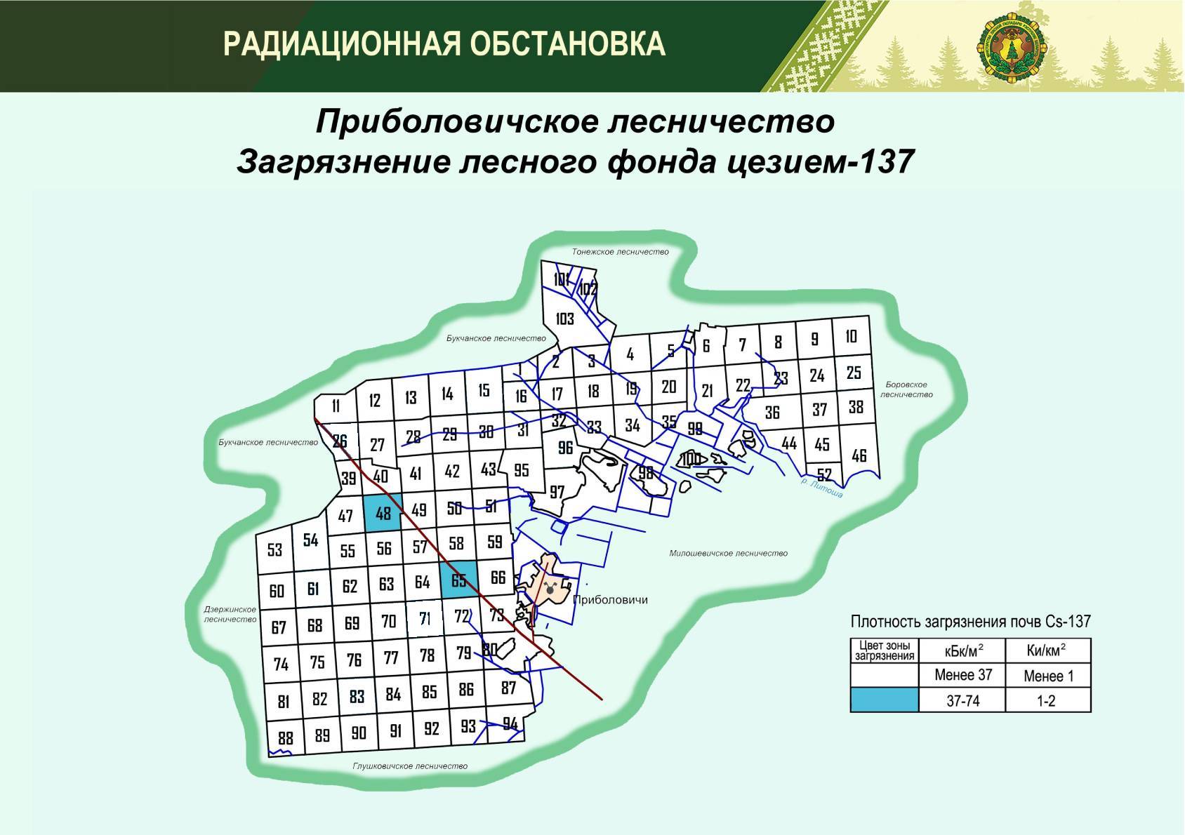 Приболовичское лесниячество 112024